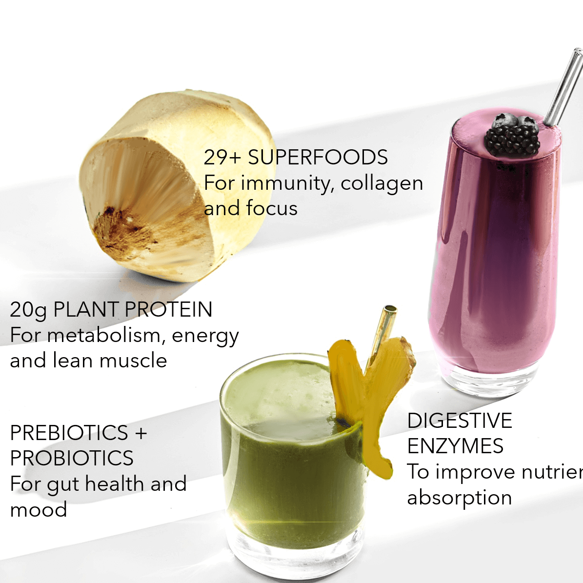 Superfood Smoothie + Organic Plant Protein Mix (30 Pack)