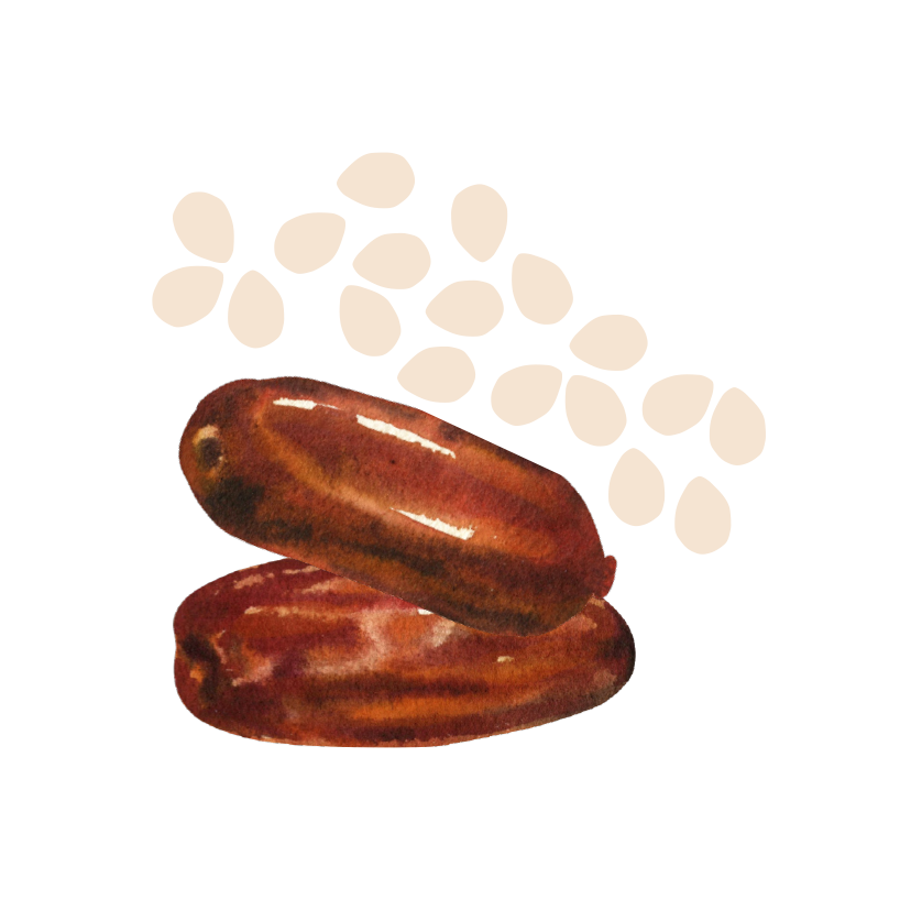 Sesame Butter with Dates (10 single-serving packs)