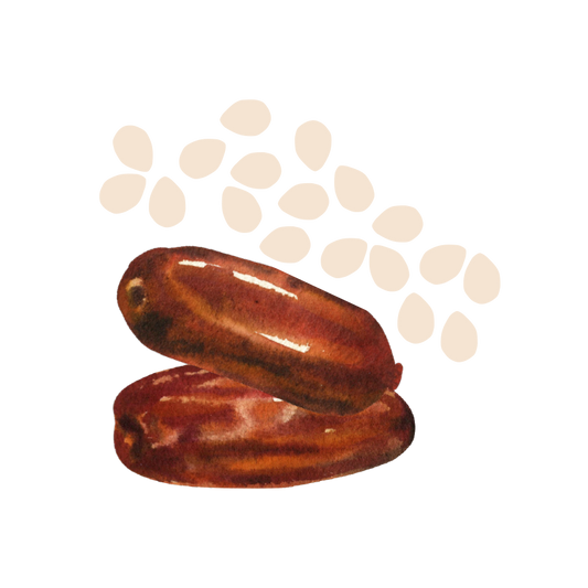 Sesame Butter and Dates (10 single-serving packs)