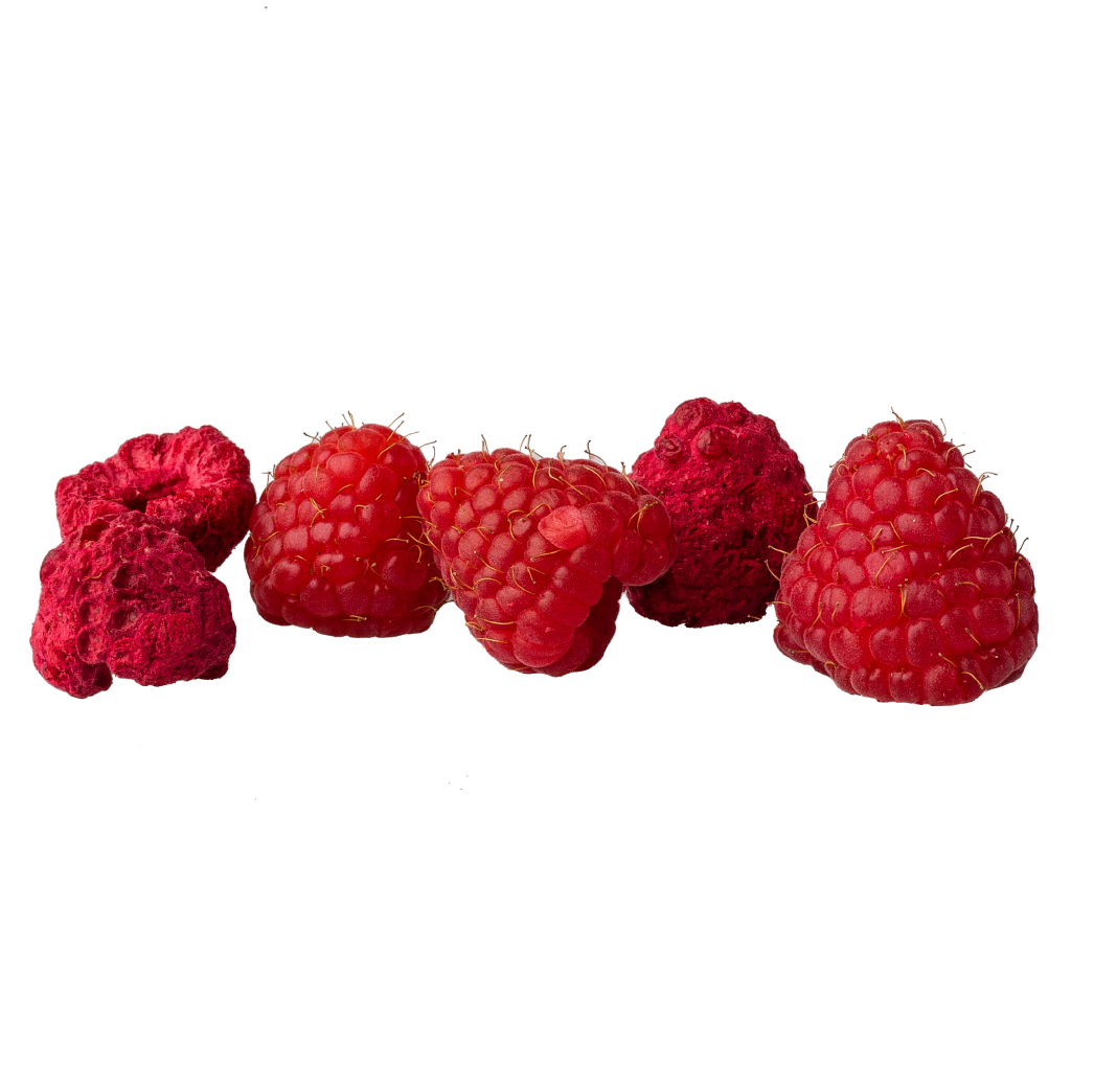 Freeze-Dried Raspberry (1 or 4 servings)
